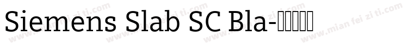 Siemens Slab SC Bla字体转换